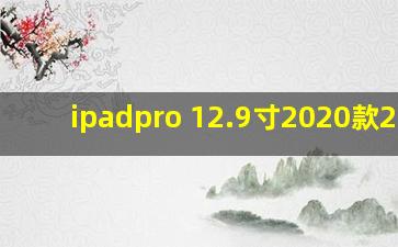 ipadpro 12.9寸2020款256g